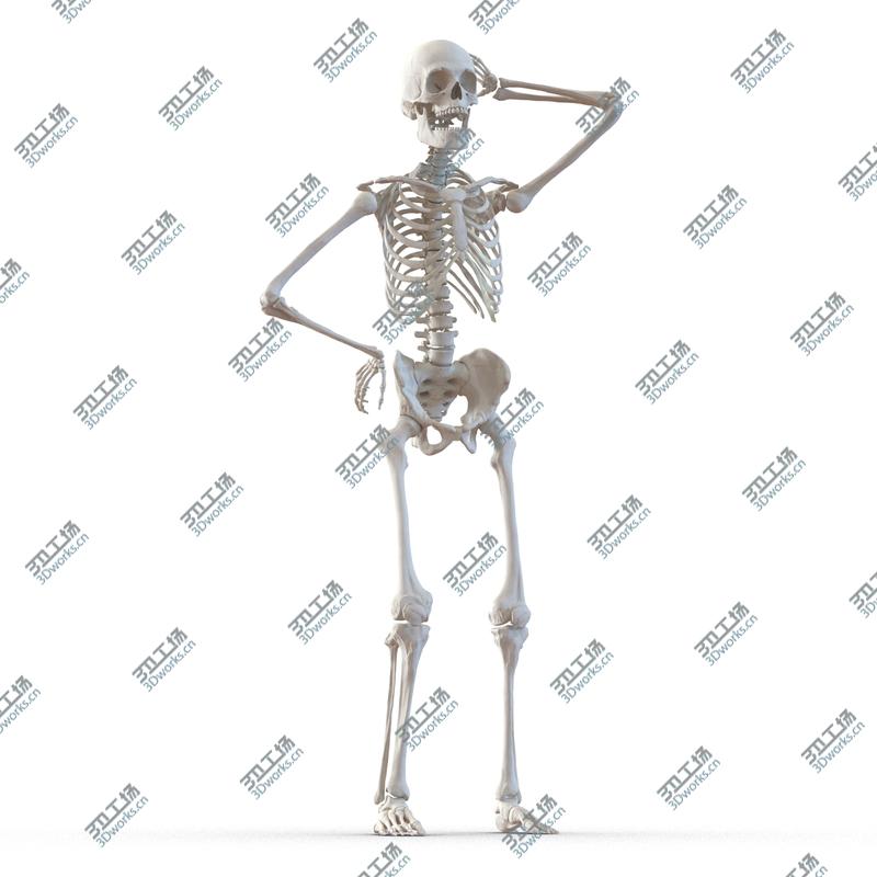 images/goods_img/20210113/Human Male Skeleton Rigged for Cinema 4D/4.jpg